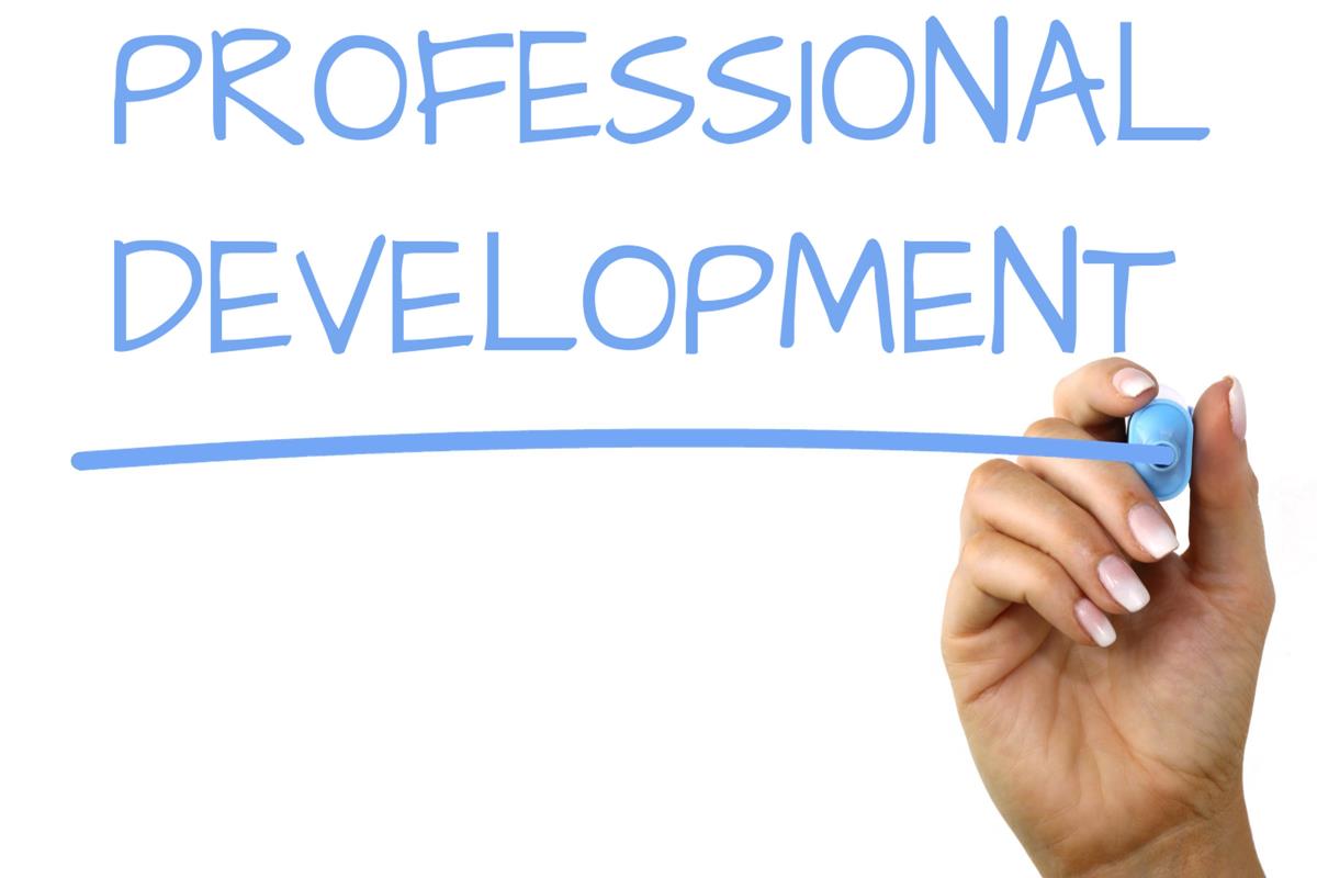Hand writing "PROFESSIONAL DEVELOPMENT" on clear board in blue marker.